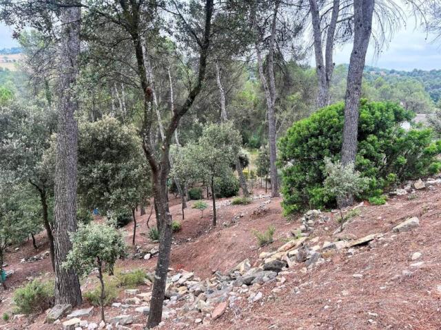 Terreno en Venta en Castellnou de Bages