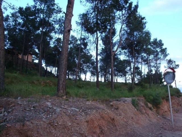 Terreno en venta en carretera De Castellnou, Castellnou de Bages, de 1.200 m² por 140.000