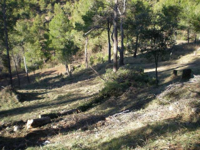 Terreno en venta en Castellnou de Bages, de 732 m² por 43.990