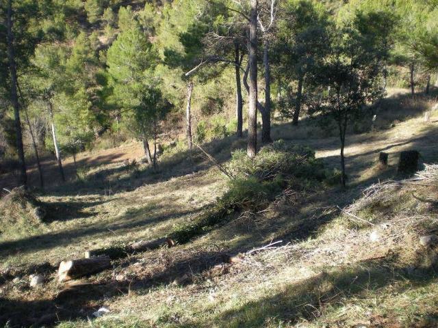 Terreno en venta en Castellnou de Bages, de 830 m² por 53.490