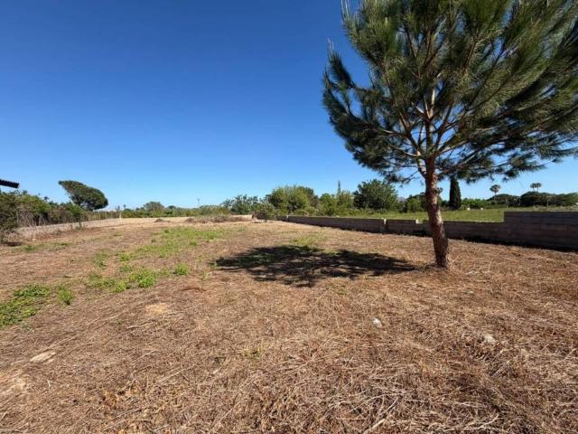 Terreno en Venta en Castellón de la Plana Castelló de la Plana