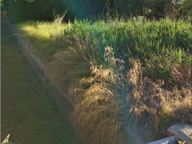 Terreno en Venta en Castellón de la Plana Castelló de la Plana