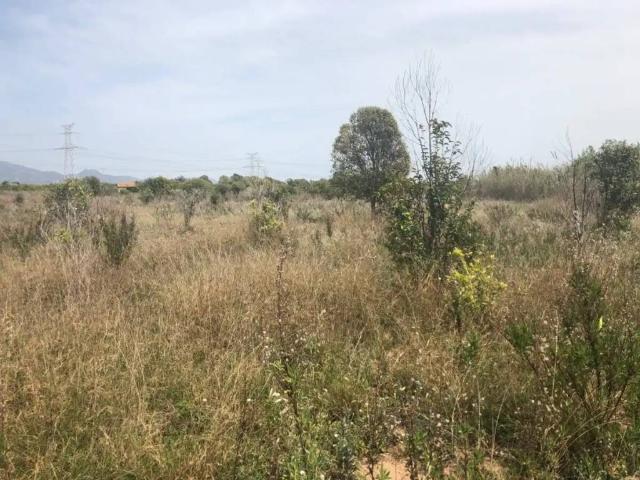 Terreno en Venta en Castellón de la Plana Castelló de la Plana