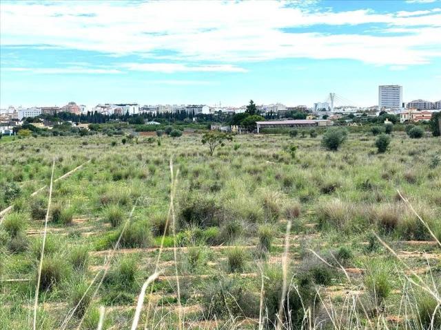 Terreno en Venta en Castellón de la Plana Castelló de la Plana
