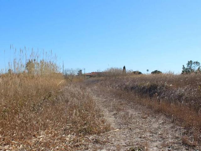 Terreno en Venta en Castellón de la Plana Castelló de la Plana