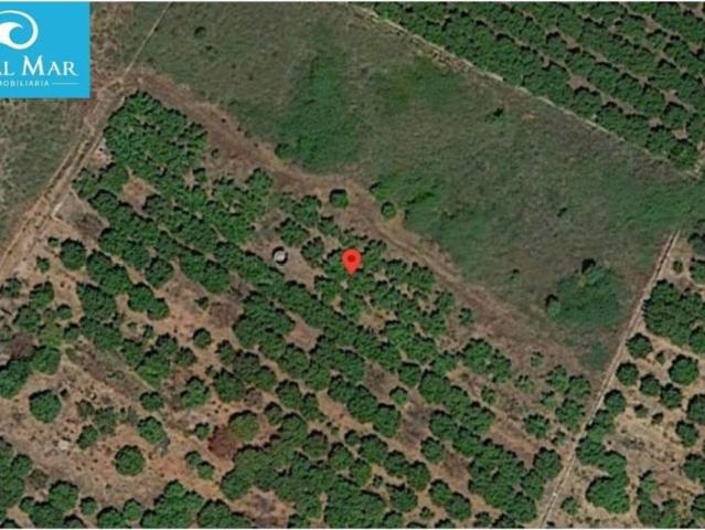 Terreno en Venta en Castellón de la Plana Castelló de la Plana