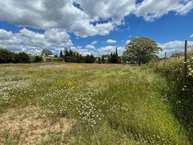 Terreno en Venta en Castilblanco de los Arroyos
