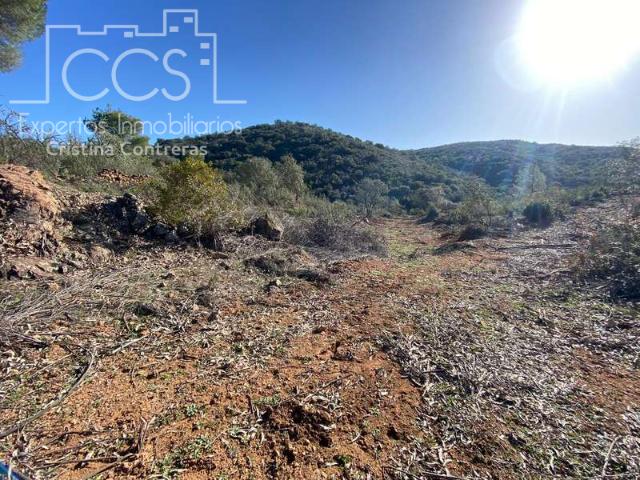 Terreno en venta en Castillo de las Guardas