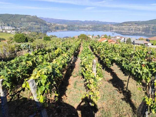 Terreno en Venta en Castrelo de Miño