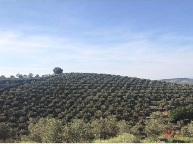 Terreno en Venta en Castril