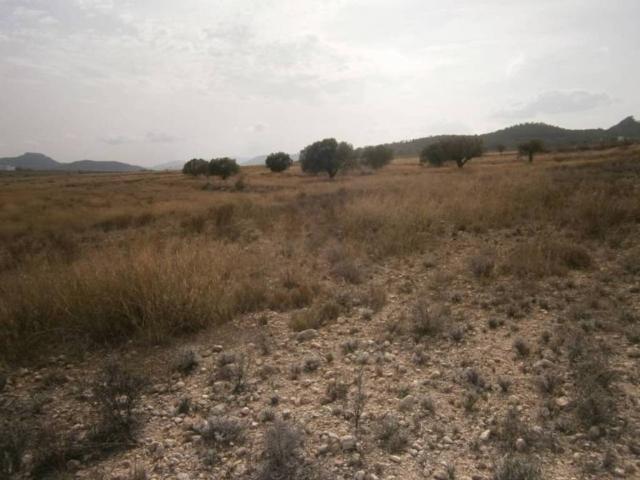 Terreno en Venta en Castrillón