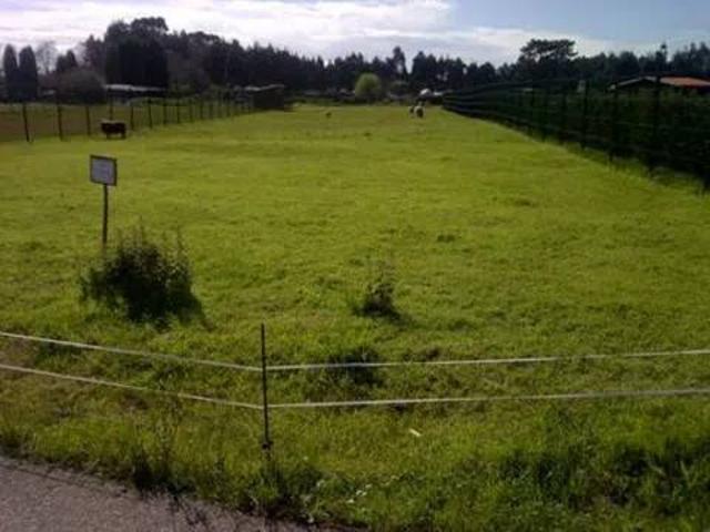 Terreno en Venta en Castrillón