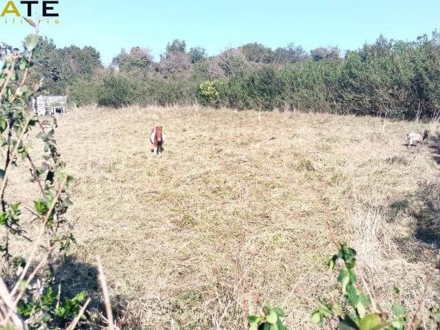 Terreno en Venta en Castro Urdiales