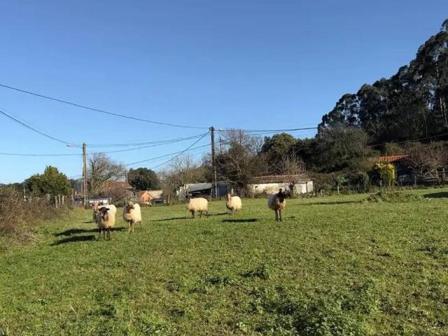 Terreno en Venta en Castro Urdiales