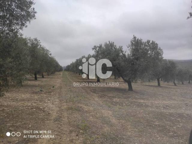 Terreno en Venta en Castro del Río