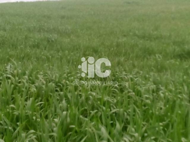 Terreno en Venta en Castro del Río