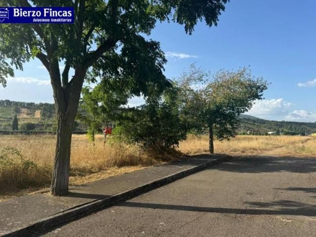 Terreno en venta en Castropodame, Almazcara