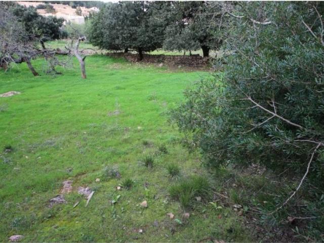 Terreno en Venta en Capdepera
