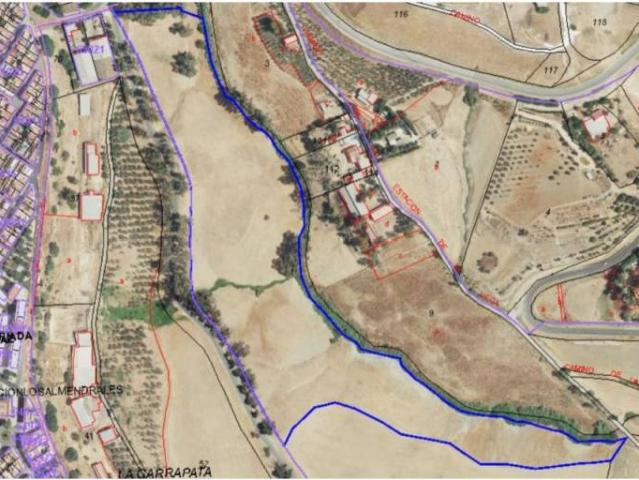 Terreno en Venta en Carmona