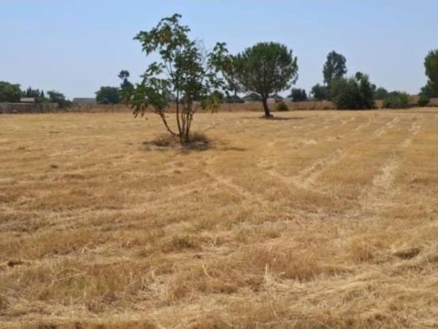 Terreno en Venta en Carmona