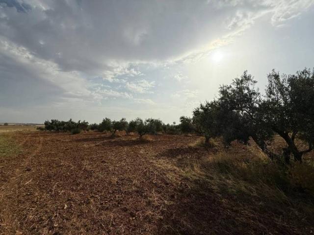 Terreno en Venta en Carmona