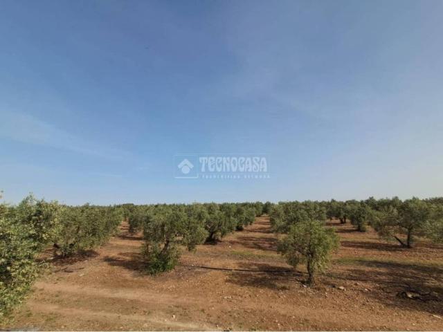 Terreno en Venta en Carmona