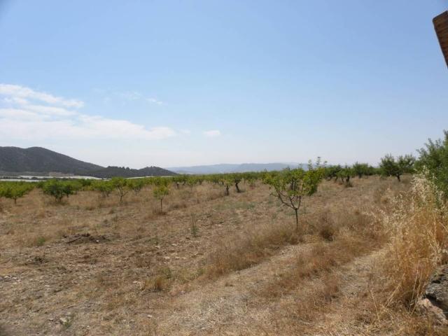 Terreno en Venta en Caravaca de La Cruz