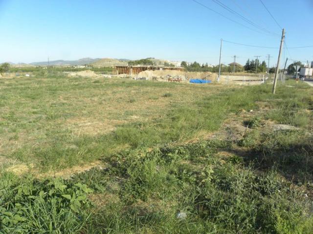 Terreno en Venta en Caravaca de La Cruz