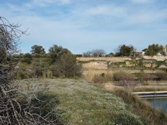 Terreno en venta en Caravaca de la Cruz