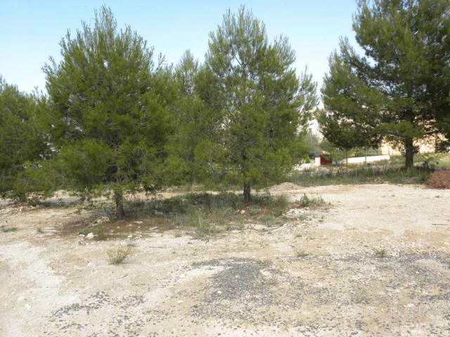 Terreno en Venta en Caravaca de La Cruz