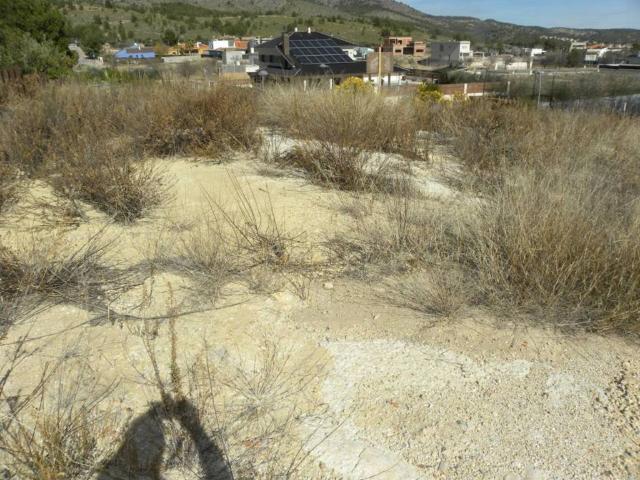 Terreno en Venta en Caravaca de La Cruz