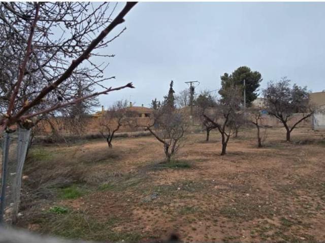 Terreno en Venta en Caravaca de La Cruz
