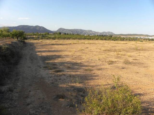 Terreno en Venta en Caravaca de La Cruz
