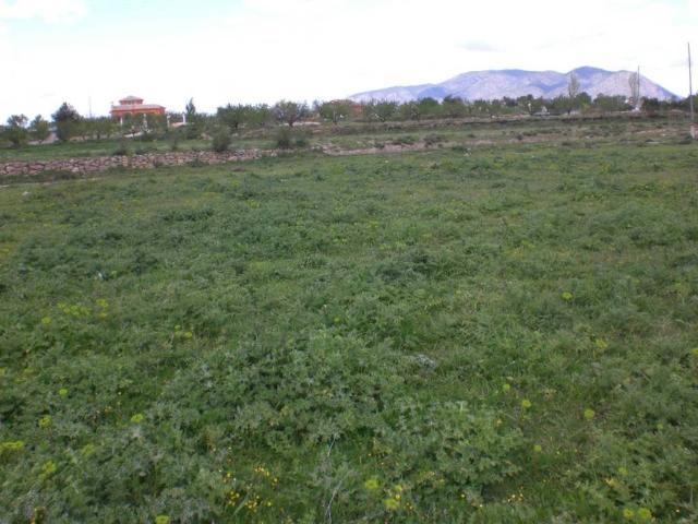 Terreno en Venta en Caravaca de La Cruz