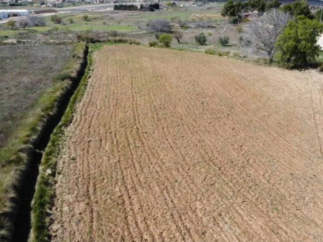 Terreno en Venta en Caravaca de La Cruz