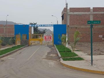 Terreno en venta en Carabayllo a S/100,000
