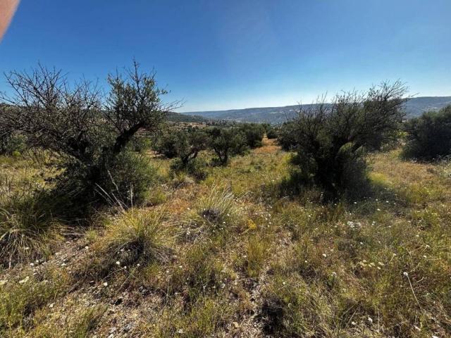 Terreno en Venta en Carabaña