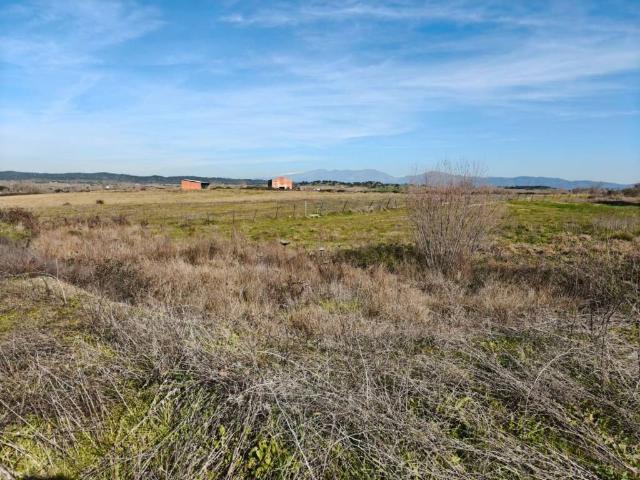 Terreno en Venta en Carcaboso