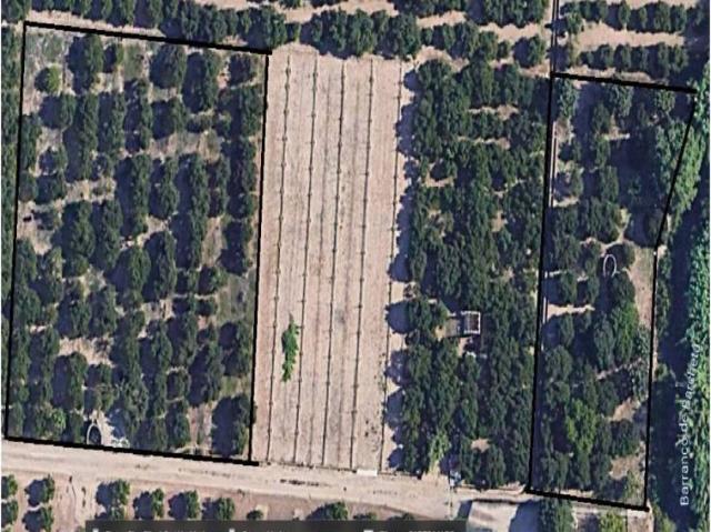 Terreno en Venta en Carcaixent