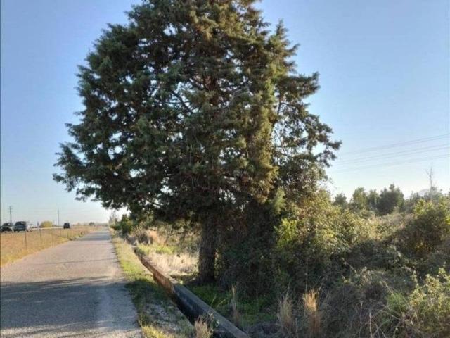Terreno en Venta en Carcaixent