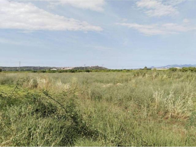 Terreno en Venta en Càrcer