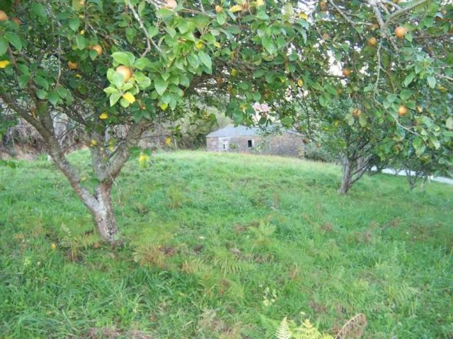 Terreno en Venta en Cariño