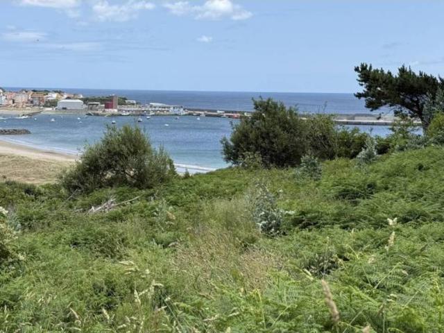 Terreno en Venta en Cariño