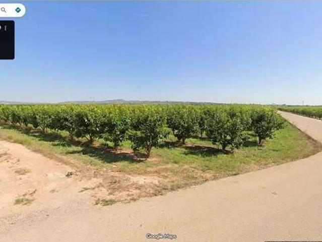 Terreno en Venta en Carlet