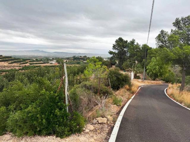 Terreno en Venta en Carlet
