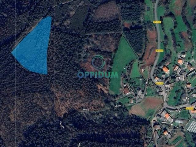 Terreno en Venta en Carral