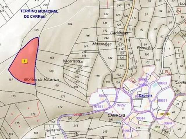 Terreno en Venta en Carral