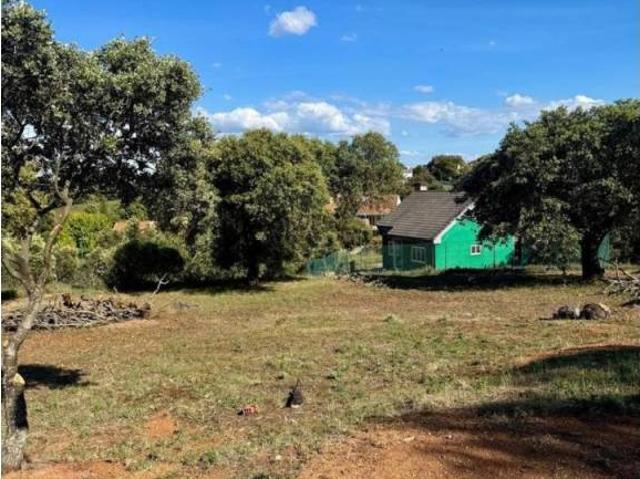 Terreno en Venta en Carrascal de Barregas