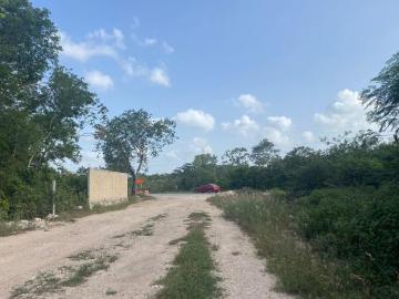 TERRENO EN VENTA EN CARRETERA CANCUN MERIDA JUNTO A LOPEZ PORTILLO