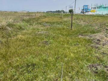 TERRENO EN VENTA EN CARRETERA CHAPULTEPEC SANTIAGO, CERCA DE LA AUTOPISTA LERMA TENANGO DEL VALLE